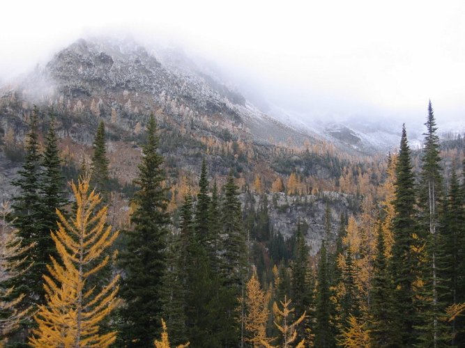 The high hillsides showed meadows of larches become increasingly frosty higher up.